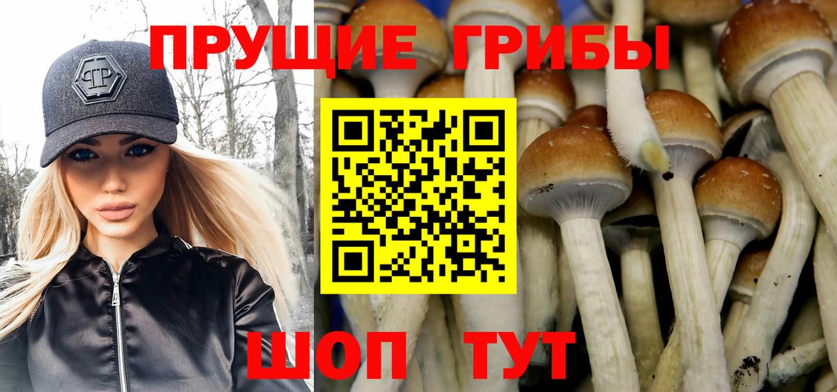 Галлюциногенные грибы GOLDEN TEACHER Новоуральск