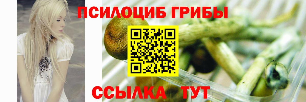 Галлюциногенные грибы Psilocybe  Вход с VPN  Новоуральск 